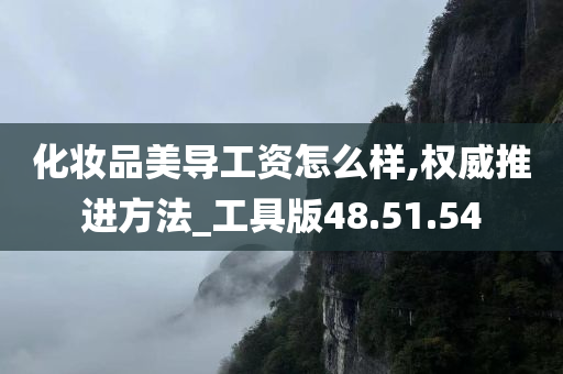 化妆品美导工资怎么样,权威推进方法_工具版48.51.54