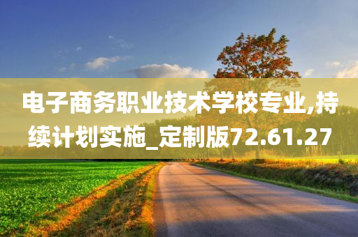 电子商务职业技术学校专业,持续计划实施_定制版72.61.27