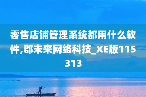 零售店铺管理系统都用什么软件,郡未来网络科技_XE版115313