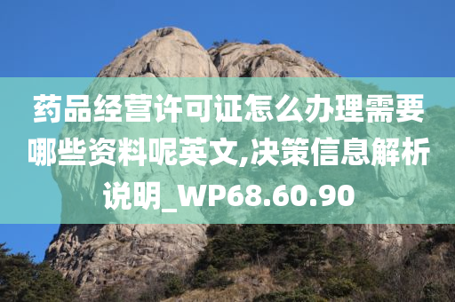 药品经营许可证怎么办理需要哪些资料呢英文,决策信息解析说明_WP68.60.90