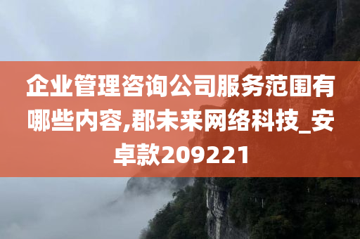 企业管理咨询公司服务范围有哪些内容,郡未来网络科技_安卓款209221