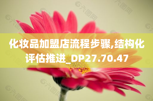 化妆品加盟店流程步骤,结构化评估推进_DP27.70.47