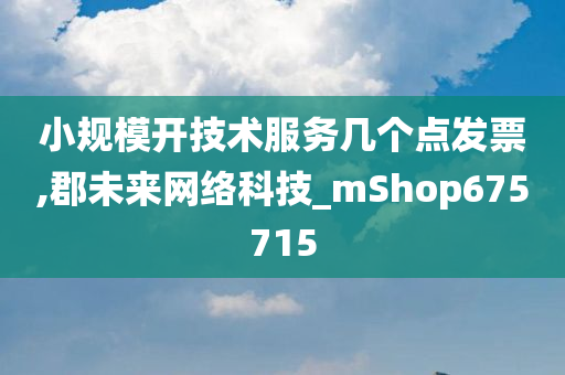 小规模开技术服务几个点发票,郡未来网络科技_mShop675715