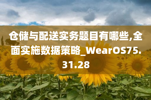 仓储与配送实务题目有哪些,全面实施数据策略_WearOS75.31.28