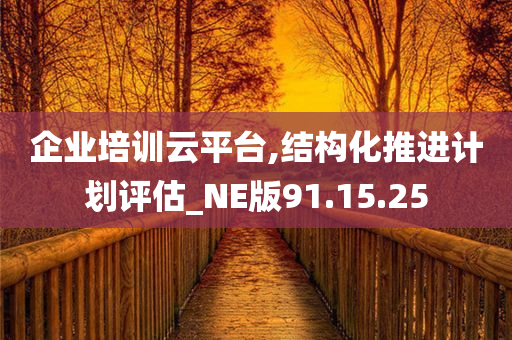 企业培训云平台,结构化推进计划评估_NE版91.15.25