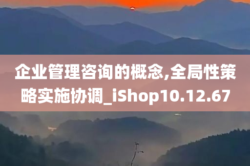 企业管理咨询的概念,全局性策略实施协调_iShop10.12.67