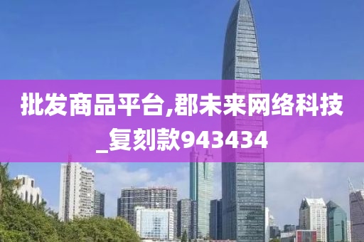 批发商品平台,郡未来网络科技_复刻款943434