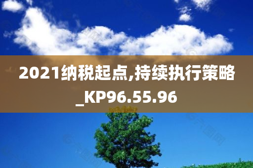 2021纳税起点,持续执行策略_KP96.55.96