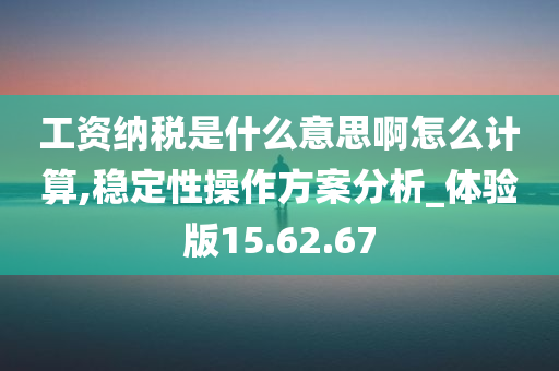 工资纳税是什么意思啊怎么计算,稳定性操作方案分析_体验版15.62.67