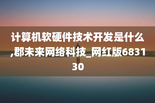 计算机软硬件技术开发是什么,郡未来网络科技_网红版683130