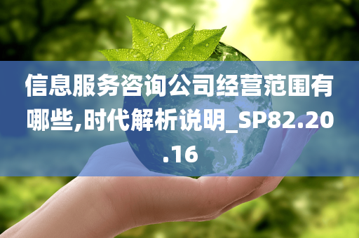 信息服务咨询公司经营范围有哪些,时代解析说明_SP82.20.16