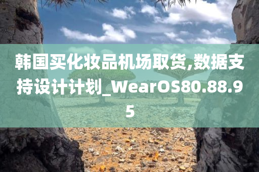 韩国买化妆品机场取货,数据支持设计计划_WearOS80.88.95