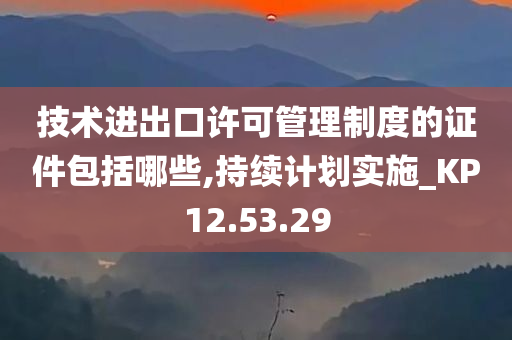 技术进出口许可管理制度的证件包括哪些,持续计划实施_KP12.53.29