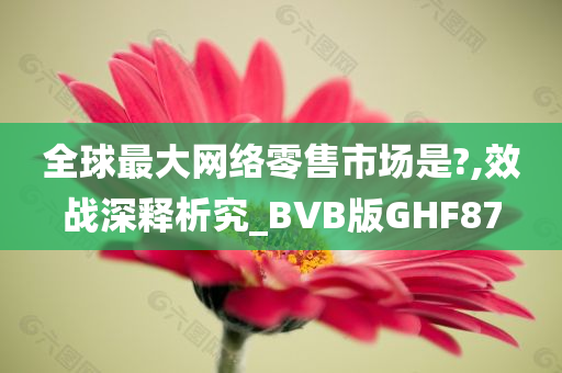 全球最大网络零售市场是?,效战深释析究_BVB版GHF87