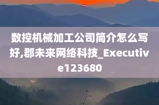 数控机械加工公司简介怎么写好,郡未来网络科技_Executive123680