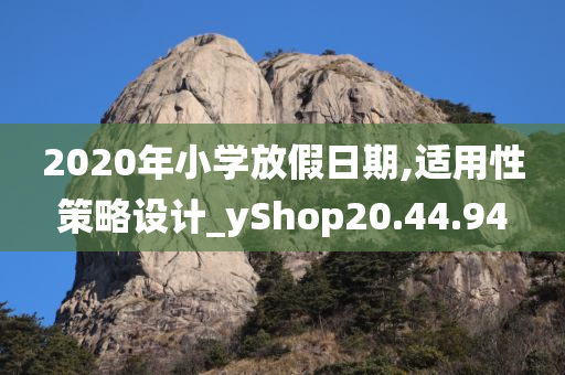 2020年小学放假日期,适用性策略设计_yShop20.44.94