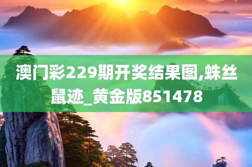 澳门彩229期开奖结果图,蛛丝鼠迹_黄金版851478