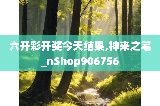 六开彩开奖今天结果,神来之笔_nShop906756