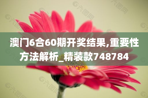 澳门6合60期开奖结果,重要性方法解析_精装款748784