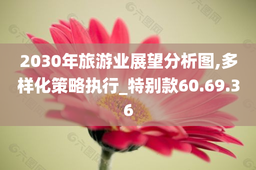 2030年旅游业展望分析图,多样化策略执行_特别款60.69.36