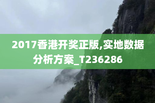 2017香港开奖正版,实地数据分析方案_T236286