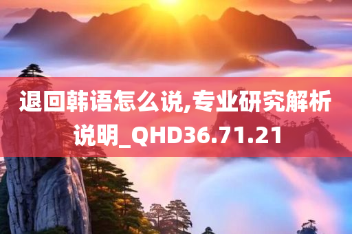 退回韩语怎么说,专业研究解析说明_QHD36.71.21