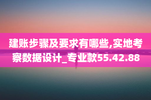 建账步骤及要求有哪些,实地考察数据设计_专业款55.42.88