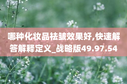 哪种化妆品祛皱效果好,快速解答解释定义_战略版49.97.54