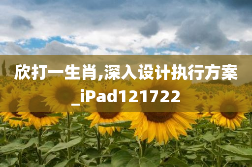 欣打一生肖,深入设计执行方案_iPad121722