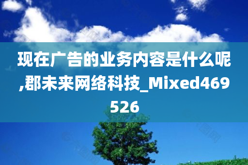 现在广告的业务内容是什么呢,郡未来网络科技_Mixed469526