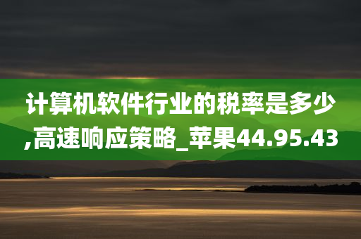 计算机软件行业的税率是多少,高速响应策略_苹果44.95.43