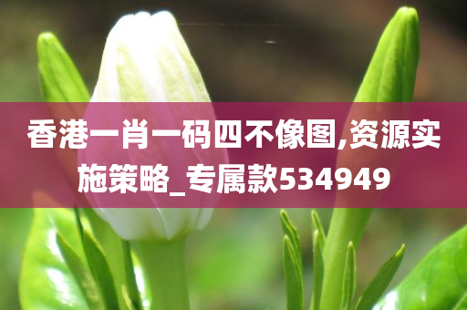 香港一肖一码四不像图,资源实施策略_专属款534949