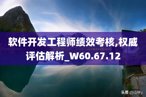 软件开发工程师绩效考核,权威评估解析_W60.67.12