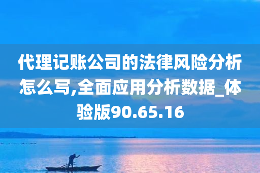 代理记账公司的法律风险分析怎么写,全面应用分析数据_体验版90.65.16