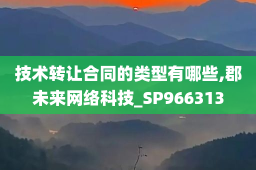 技术转让合同的类型有哪些,郡未来网络科技_SP966313