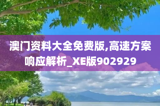 澳门资料大全免费版,高速方案响应解析_XE版902929