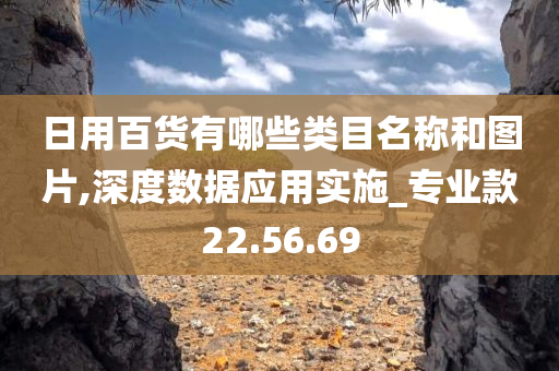 日用百货有哪些类目名称和图片,深度数据应用实施_专业款22.56.69
