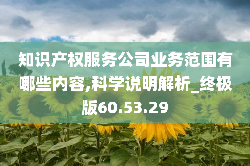 知识产权服务公司业务范围有哪些内容,科学说明解析_终极版60.53.29