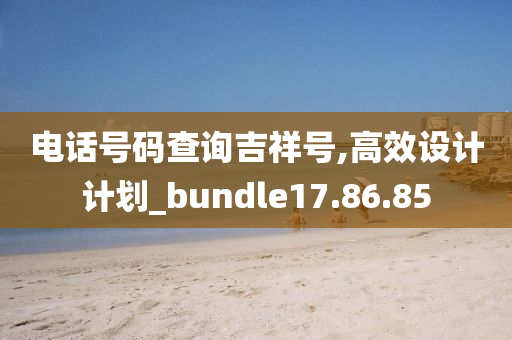 电话号码查询吉祥号,高效设计计划_bundle17.86.85