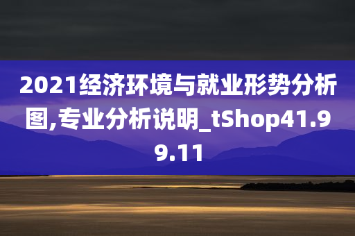 2021经济环境与就业形势分析图,专业分析说明_tShop41.99.11