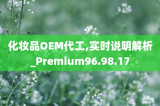 化妆品OEM代工,实时说明解析_Premium96.98.17