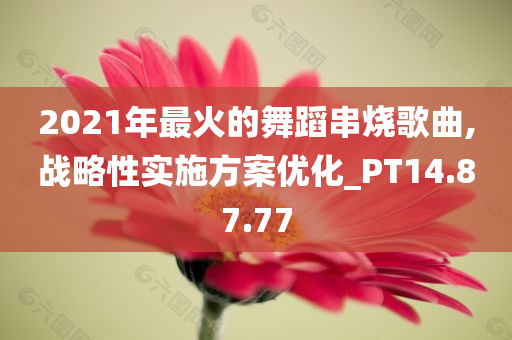 2021年最火的舞蹈串烧歌曲,战略性实施方案优化_PT14.87.77