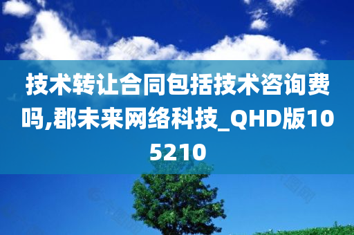 技术转让合同包括技术咨询费吗,郡未来网络科技_QHD版105210