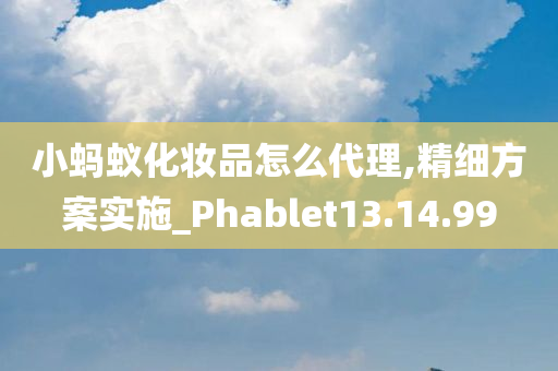 小蚂蚁化妆品怎么代理,精细方案实施_Phablet13.14.99