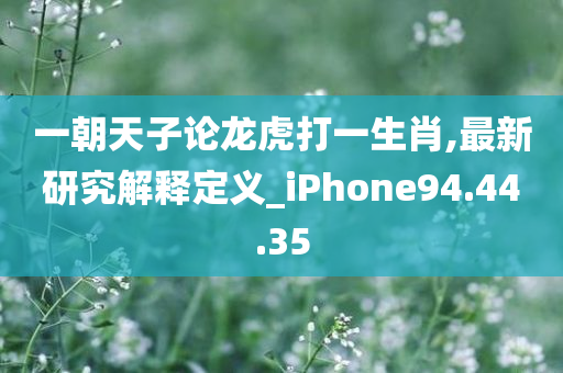 一朝天子论龙虎打一生肖,最新研究解释定义_iPhone94.44.35