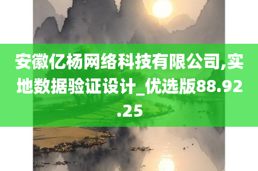 安徽亿杨网络科技有限公司,实地数据验证设计_优选版88.92.25