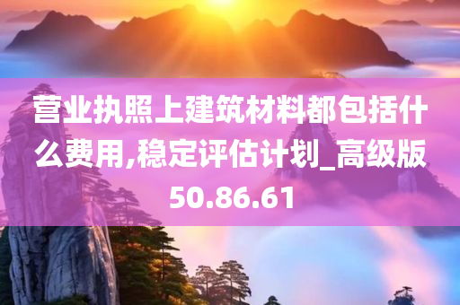 营业执照上建筑材料都包括什么费用,稳定评估计划_高级版50.86.61