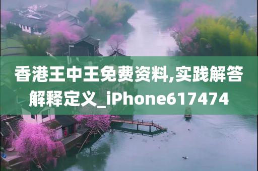 香港王中王免费资料,实践解答解释定义_iPhone617474