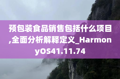 预包装食品销售包括什么项目,全面分析解释定义_HarmonyOS41.11.74