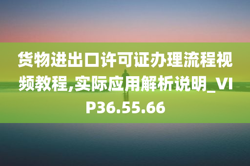 货物进出口许可证办理流程视频教程,实际应用解析说明_VIP36.55.66